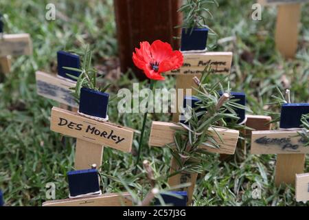 Des croix ont été plantées aux côtés de coquelicots dans le champ du souvenir de l’ANZAC à la cathédrale St Andrew à Sydney en souvenir de ceux qui sont morts-mouettes Banque D'Images