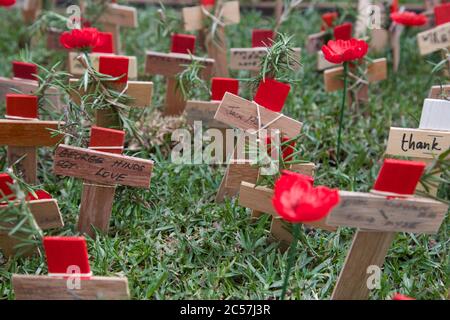 Des croix ont été plantées aux côtés de coquelicots dans le champ du souvenir de l’ANZAC à la cathédrale St Andrew à Sydney en souvenir de ceux qui sont morts-mouettes Banque D'Images