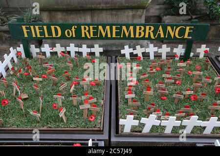 Des croix ont été plantées aux côtés de coquelicots dans le champ du souvenir de l’ANZAC à la cathédrale St Andrew à Sydney en souvenir de ceux qui sont morts-mouettes Banque D'Images