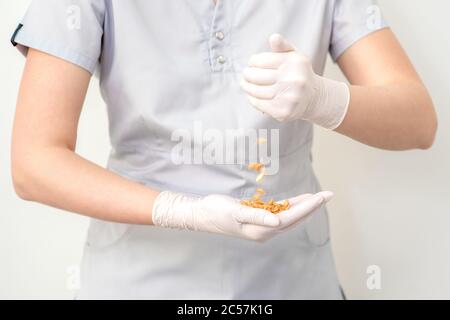 Cirer les haricots ou les graines dans les mains des femmes en gants de protection sur fond blanc. Banque D'Images