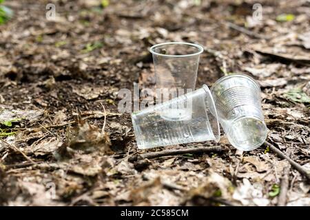 Tasses en plastique dispersées sur le sol dans la forêt Banque D'Images