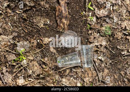 Tasses en plastique dispersées sur le sol dans la forêt Banque D'Images