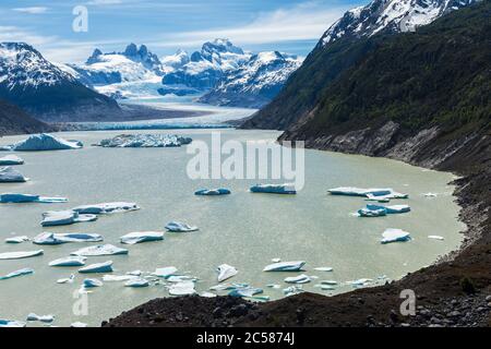 Lac glaciaire avec de petits icebergs flottant, parc national de Laguna San Rafael, région d'Aysen, Patagonie, Chili Banque D'Images