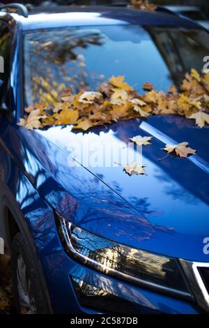 Feuilles d'érable jaune tombée sur le pare-brise et le capot de la voiture par temps ensoleillé, mise au point douce. Feuillage d'automne, transport, concept de saison. Banque D'Images