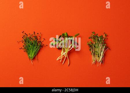 Vue de dessus d'un petit bouquet de micro-verts sur fond papier Banque D'Images