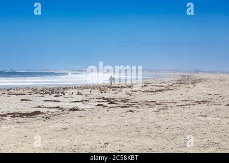 Une femme seule marche sur une plage vide près du parc de l'amitié internationale, la frontière entre les États-Unis et le Mexique Banque D'Images