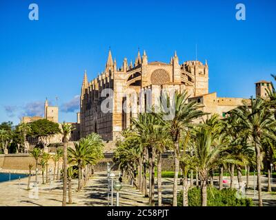 6 mars 2020 : Palma, Majorque, Espagne - Parc de la Mar et Cathédrale de Majorque. Banque D'Images