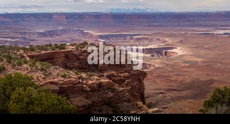 Vue à couper le souffle sur White Rim Trail depuis Candlestick Tower Overview, Island in the Sky District, Parc national de Canyonlands, Moab, Utah Banque D'Images