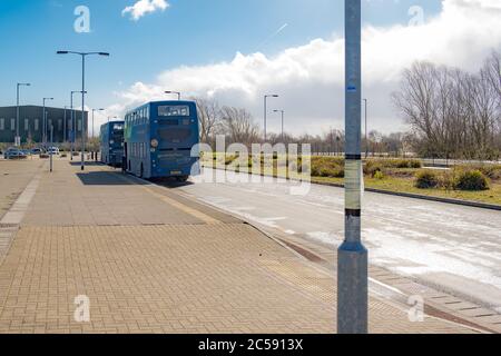 Deux bus vus garés à une destination Park and Ride. La ligne de bus guidée dessert le centre-ville de Cambridge. Banque D'Images