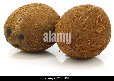 deux noix de coco fraîches sur fond blanc Banque D'Images