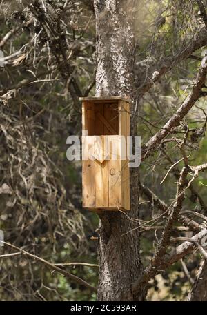 Boîte de nid d'oiseau en bois pour hiboux, boîte de nid, accrochée dans l'arbre en forêt. Banque D'Images