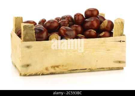 Châtaignes fraîchement tombées (Aesculus hippocastanum) dans une caisse en bois sur fond blanc Banque D'Images