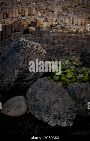 Giant's Causeway Land, site touristique Banque D'Images