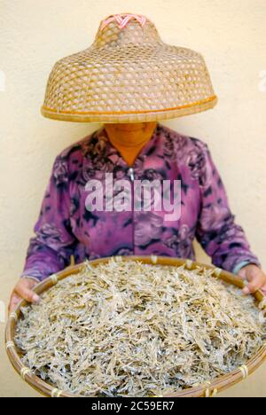 Hong Kong, séchage du poisson sur l'île de Tap Mun Banque D'Images