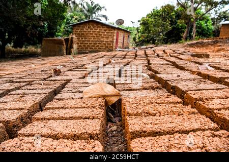 Afrique, Afrique de l'Ouest, Bénin, Natitinqou. Des briques sont posées sur le sol pour sécher au soleil. Banque D'Images