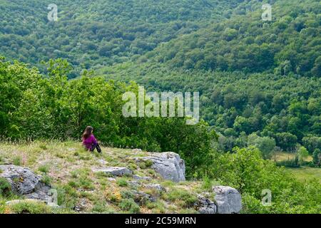 France, Côte d'Or, Val-Suzon, réserve naturelle régionale de Val-Suzon, forêt nationale marquée Foret d'exception (forêt exceptionnelle) Banque D'Images