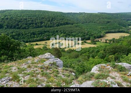 France, Côte d'Or, Val-Suzon, réserve naturelle régionale de Val-Suzon, forêt nationale marquée Foret d'exception, méandre du fleuve le Suzon Banque D'Images