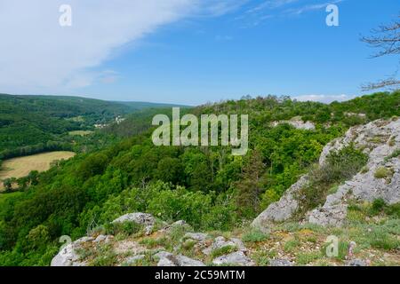 France, Côte d'Or, Val-Suzon, réserve naturelle régionale de Val-Suzon, forêt nationale marquée Foret d'exception (forêt exceptionnelle) Banque D'Images