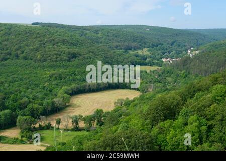 France, Côte d'Or, Val-Suzon, réserve naturelle régionale de Val-Suzon, forêt nationale marquée Foret d'exception (forêt exceptionnelle) Banque D'Images