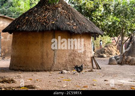 Afrique, Afrique de l'Ouest, Bénin, Natitinqou. Maison traditionnelle béninoise avec bois de chauffage et un saut suspendu d'un arbre. Banque D'Images