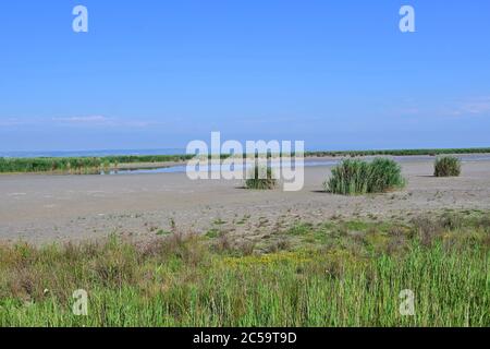 Illmitz, Burgenland, Autriche. Patrimoine mondial de l'UNESCO, paysage culturel Neusiedler See (lac Neusiedl). Banque D'Images