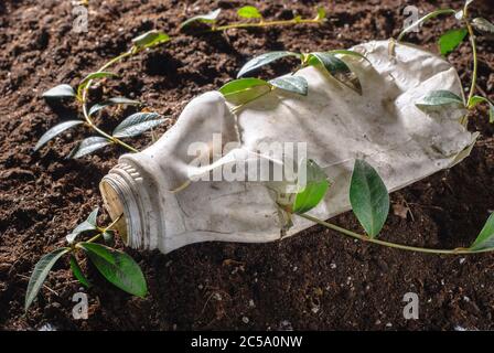 Le problème de l'humanité est la pollution de l'environnement par le plastique. Une fleur en colère combat la rupture à travers une bouteille en plastique. Concept de vie Banque D'Images