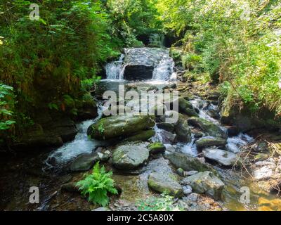 La vue la plus photographiée à Watersmeet, chutes d'eau sur la rivière Hoar Oak Water à Watersmeet, près de Lynton, Exmoor, Devon, Royaume-Uni Banque D'Images