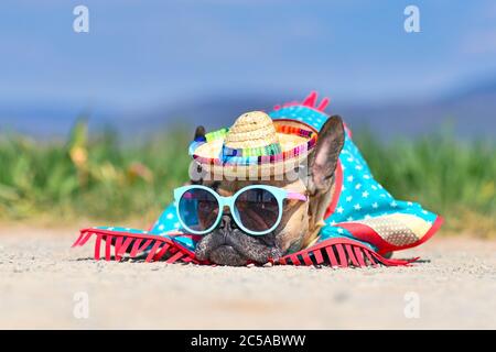 Adorable chien de Bulldog français habillé de lunettes de soleil, un chapeau de paille coloré et une robe poncho couché sur le sol devant un pré flou en été Banque D'Images