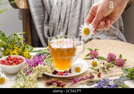 Une femme prépare du thé aux herbes avec de la camomille. Cérémonie du thé. Thé avec rose sauvage et trèfle Banque D'Images