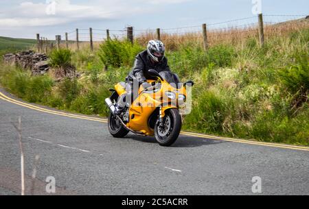 1998 jaune Triumph Daytona 955i Banque D'Images