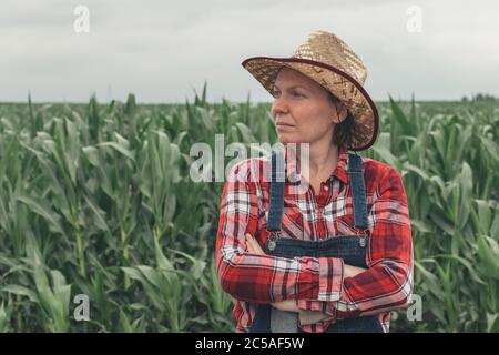 Portrait d'une agricultrice debout dans un champ de maïs, d'une travailleuse agricole dans une plantation de maïs Banque D'Images