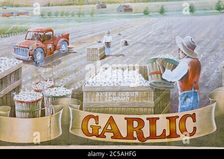 Gilroy Garlic capitale du monde fresque murale par Martin Roberson,Gilroy,Californie,USA Banque D'Images