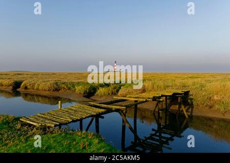 Pré salé, fossé et passerelle devant le phare de Westerheversand sur la péninsule d'Eiderstedt, Frise du Nord, Schleswig-Holstein, Allemagne Banque D'Images