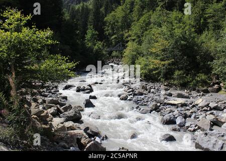 Vue sur les rapides du parc naturel Blausee In La Suisse était bordée d'arbres en été Banque D'Images