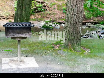 Plan horizontal d'un barbecue très utilisé dans une aire de pique-nique avec des arbres et un ruisseau derrière lui. Banque D'Images