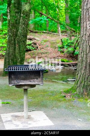 Photo verticale d'un grill très utilisé dans une aire de pique-nique avec des arbres et un ruisseau derrière lui. Banque D'Images