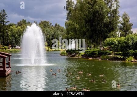 Étang artificiel décoratif avec canards et fontaines dans un parc avec des plantes, plantes vertes sur le lac avec des oiseaux flottants et une fontaine sur un summ ensoleillé Banque D'Images