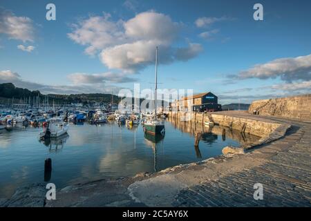 Lumière du soir sur le port de Lyme Regis Banque D'Images