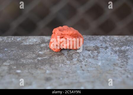 Chewing-gum orange au sol de la rue. Environnement.gomme à mâcher jetée en gros plan Banque D'Images