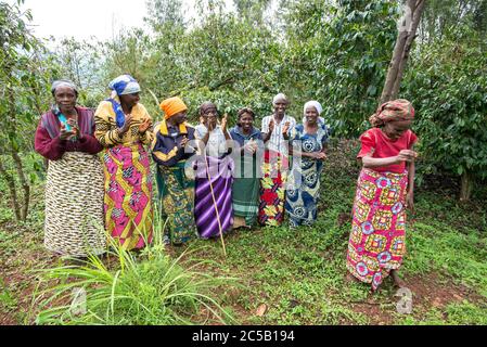 Visite de la coopérative de café de Gashonga dans la région du lac Kivu au Rwanda Banque D'Images