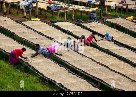 Station de lavage de Gisuma et les agriculteurs du collectif Banque D'Images