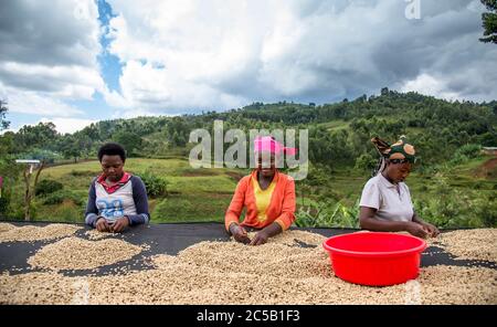 Station de lavage de Gisuma et les agriculteurs du collectif Banque D'Images