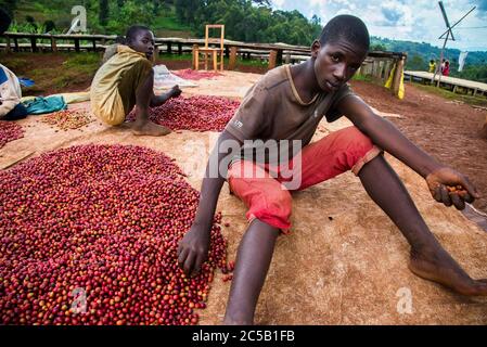 Station de lavage de Gisuma et les agriculteurs du collectif Banque D'Images