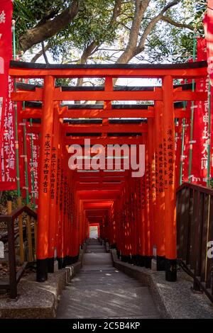 Rangée de torii au sanctuaire de HIE. Tokyo, Japon Banque D'Images