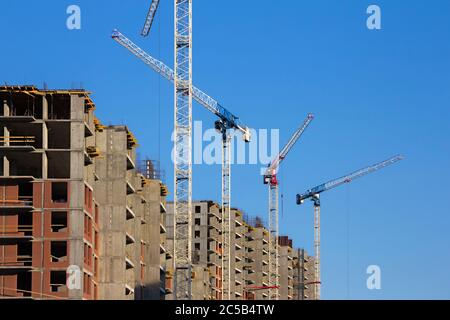 Ouvriers et constructeurs industriels avec casque en uniforme pour béton et grues sur tour sur le chantier Banque D'Images