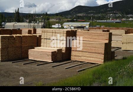 Des piles de bois d’œuvre sont empilées dans la cour de la division Lakeview de Tolko Industries, à Williams Lake, en Colombie-Britannique, au Canada. Banque D'Images