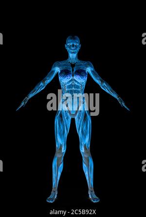 muscle femme debout sur fond blanc, illustration 3d Banque D'Images