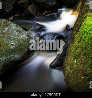 Image d'une petite cascade sur la rivière à Padley gorge, dans le Peak District, Derbyshire, Angleterre. Banque D'Images