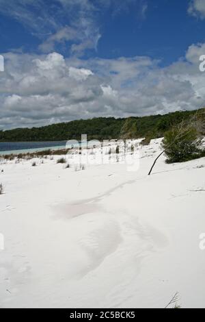 Lac Birraété, île Fraser Banque D'Images