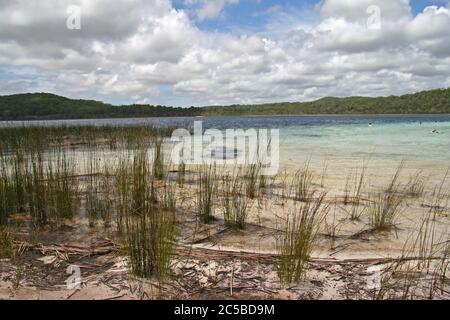 Lac Birraété, île Fraser Banque D'Images